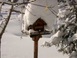 Vogelhaus.jpg